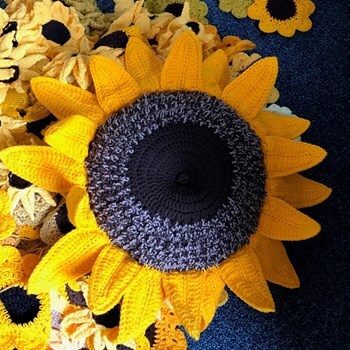 Highland Hospice Sunflower Cascade